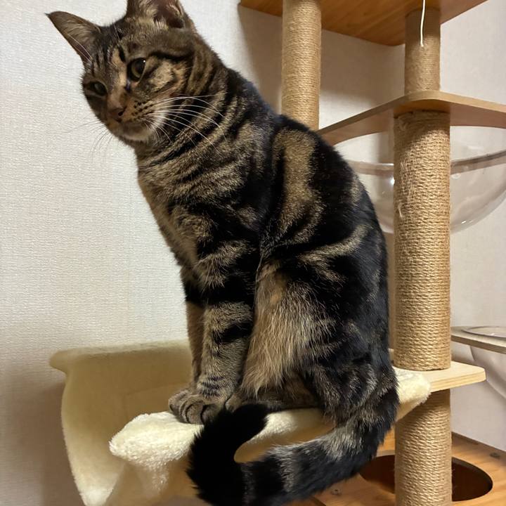 9ae001f7 ec48 4a47 9799 2d3606827df2 1764320374783