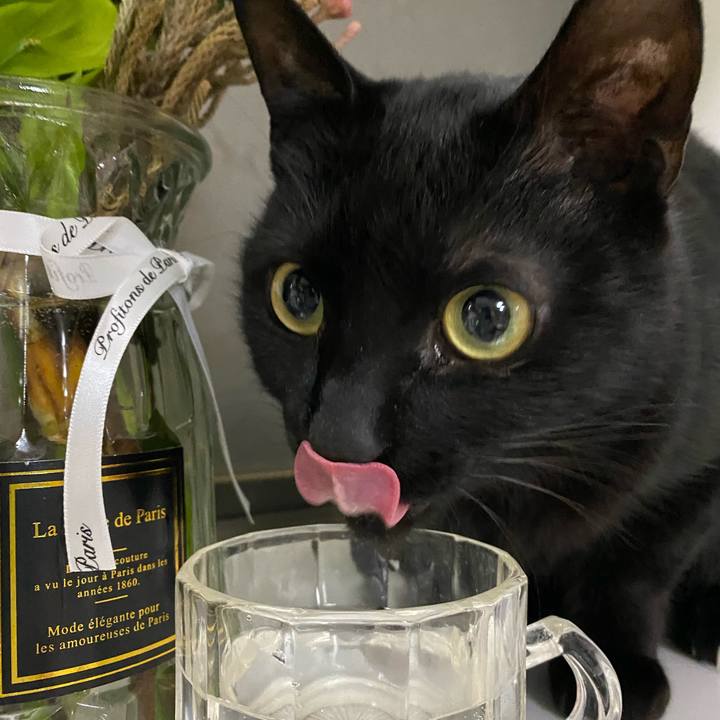 9ae01212 7c44 4be3 9d4d 42b4647ca4d8 1676027037249