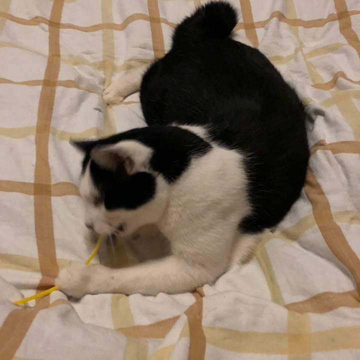 9ae028d4 43b3 48db a21c 7cdb1830a83b 1546712307668