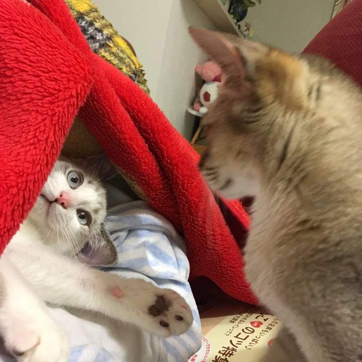 9ae037c7 5a58 414e 8272 40b0d0e69ca6 1509888898360