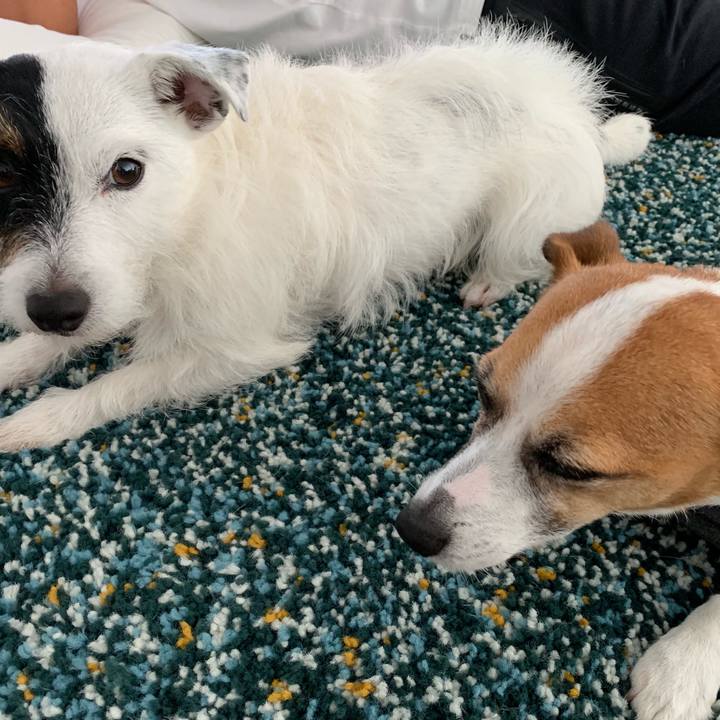 9ae04280 938b 4f59 95e9 3a9ffd1522fe 1562483710290