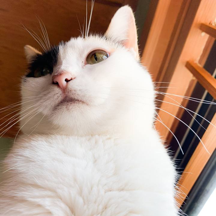 9ae0d428 06a4 473c bdd9 a8bba75486a6 1571708440543