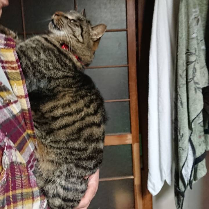 9ae0f14f 2434 4477 a333 1522f887e741 1641030811886