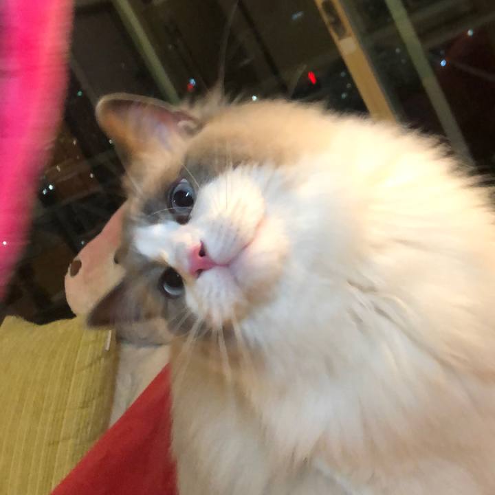 9ae14075 1e63 4890 b415 99d362e94da8 1591703137773