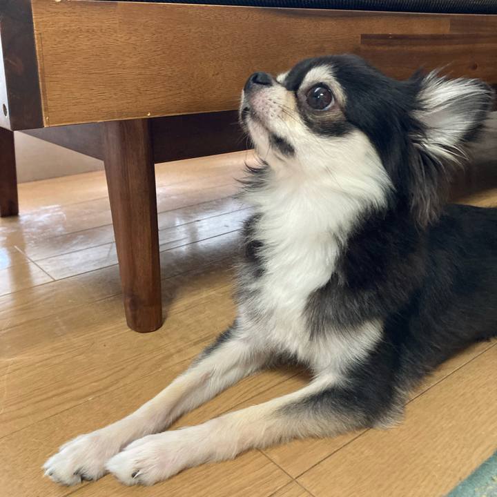 9ae15188 4e1b 4fcd a420 d14f168afb08 1631335914880