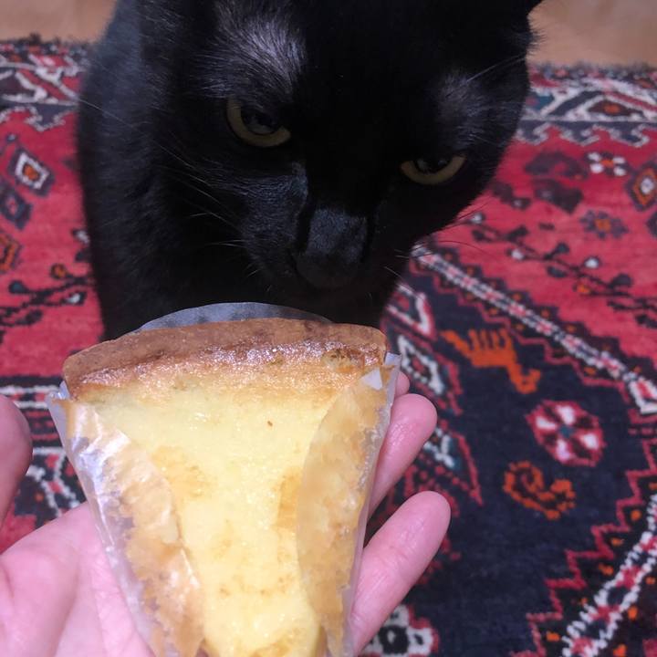 9ae17e64 4b90 42d5 82b3 1fc4622d07cd 1571397199019