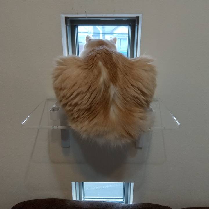 9ae1862f 314e 46fa 80b6 70b06999874c 1636367783557