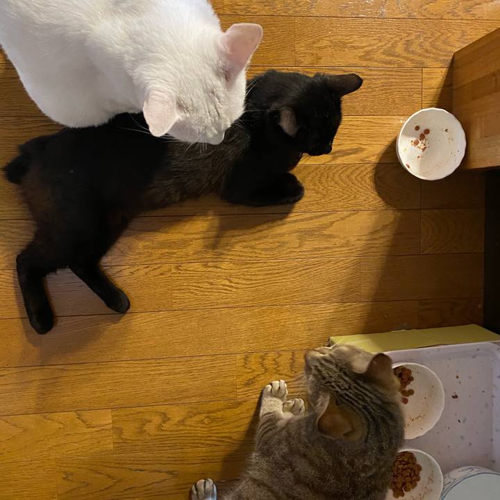 9ae19d36 fae1 43e4 81d0 63a0be8bc3dd 1654896460580