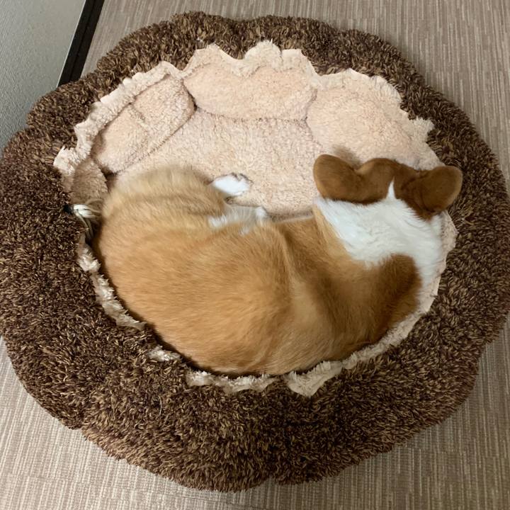 9ae1afed 2565 4337 910f 59ec8f950c28 1582376214042