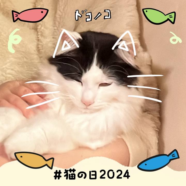 9ae211a8 8329 49d4 bcca 585e4752e16a 1708610135055