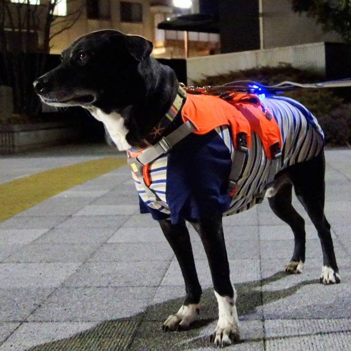 9ae21eef e74b 4dc7 b797 0dd47bdbb69d 1740567728662