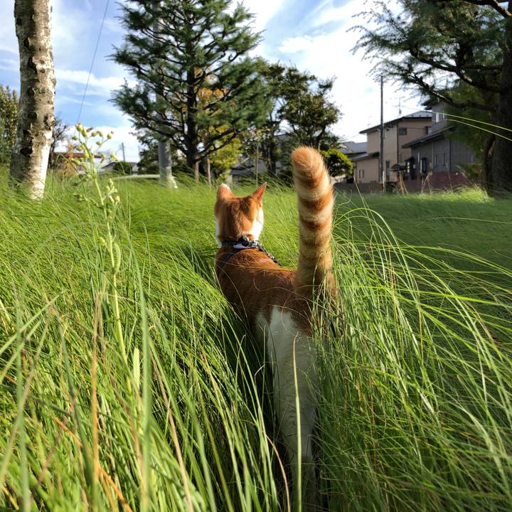 9ae2251e e4fa 4fe5 a457 121c4944a5d9 1539335683511