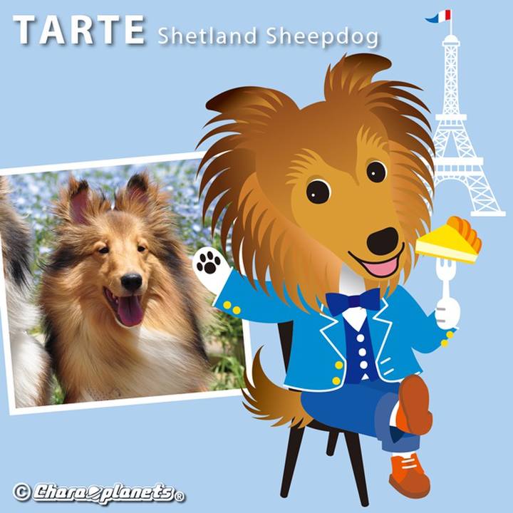 9ae2ab4e d39c 4780 9eca 84a879e06f14 1561341382556