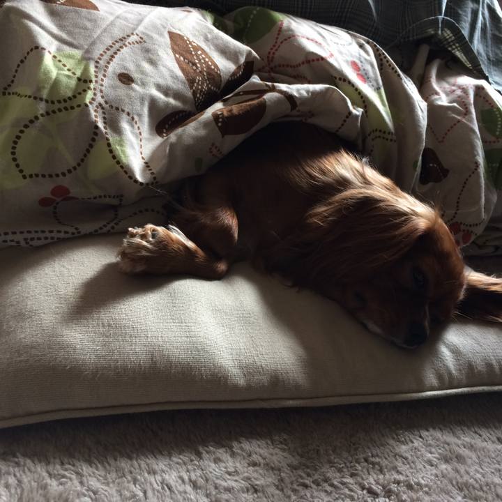 9ae2f662 b03e 4a7e 8839 969d30d8d10c 1510717620937