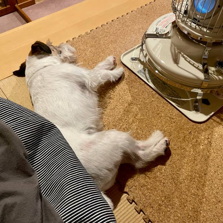 9ae2fd57 09e6 482d 8440 887cbb78bca2 1649936778393