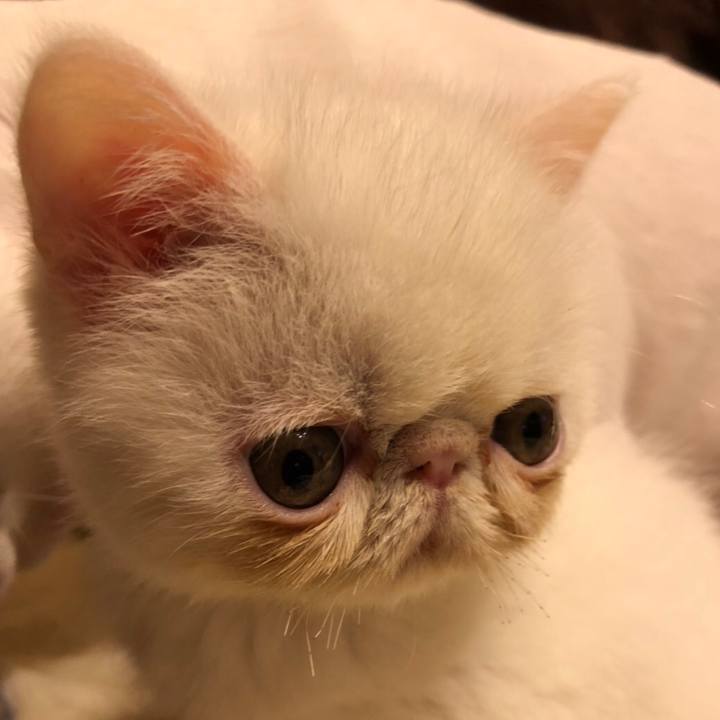 9ae2fdc8 1cc0 4219 b615 07f44f4f1cf6 1542538464870