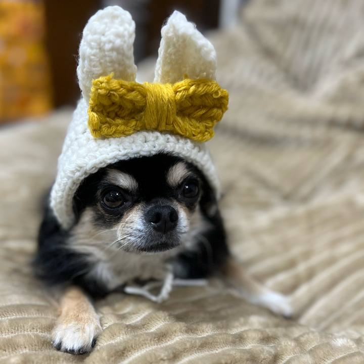 9ae3123b 3858 4e6a bf7e b69d3679e793 1665125345955