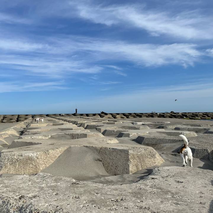 9ae32de9 a2ef 490a 9060 1310d97c6d88 1684970605966