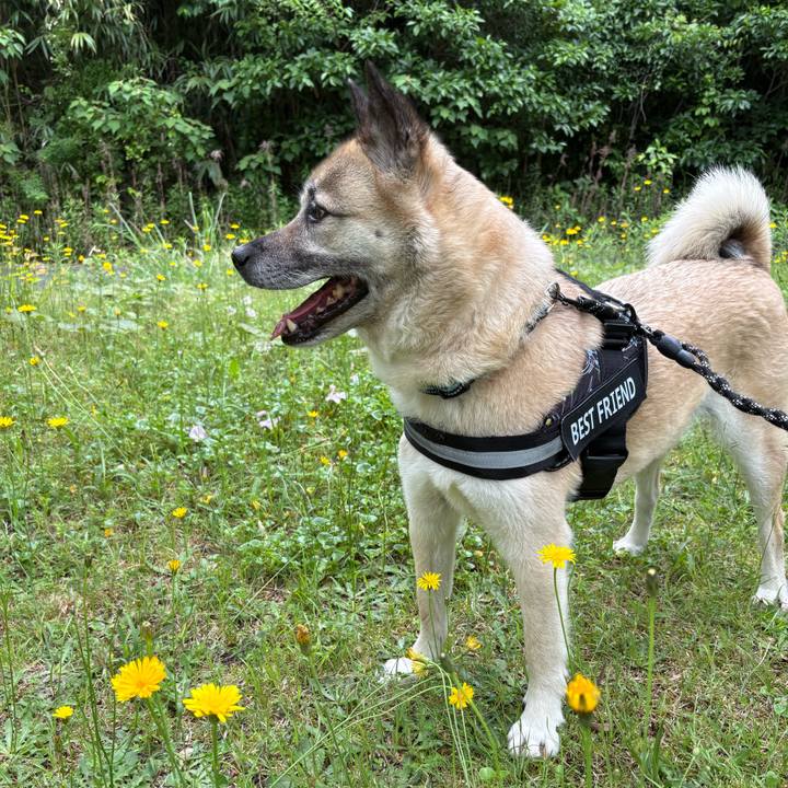 9ae33f70 6515 4d1a 9837 0b4b8afce5f2 1747480549317