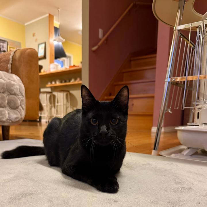 9ae36a27 054a 406d a4a7 28036d22cf1d 1761391503825