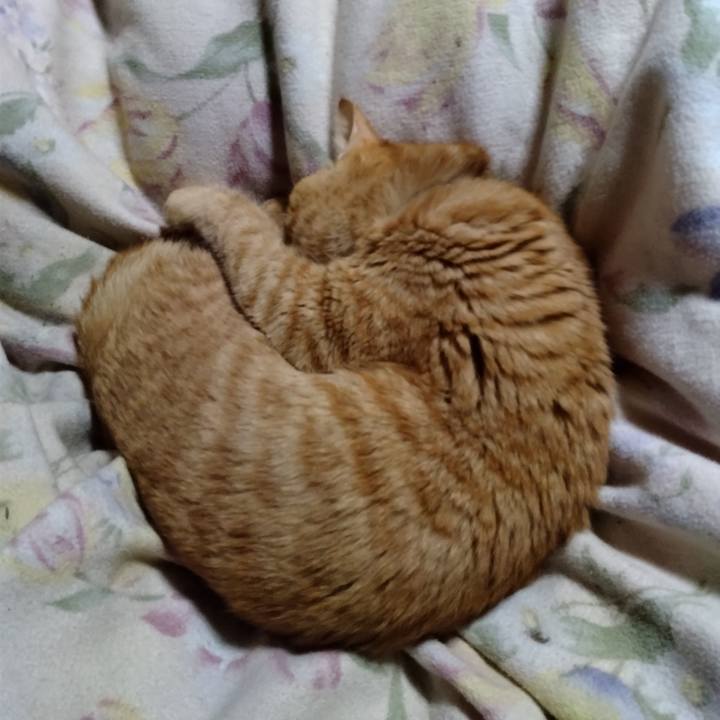 9ae36c63 2c60 44a9 bf64 ac9ee44054e7 1676808618057