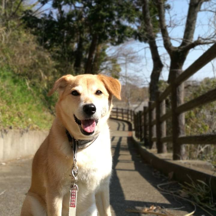 9ae376e2 d7d7 4583 a5aa 997477a9ed3e 1552369117904