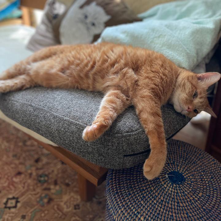 9ae38d45 ba9b 4ee3 bc96 7cac796a582c 1753580985662