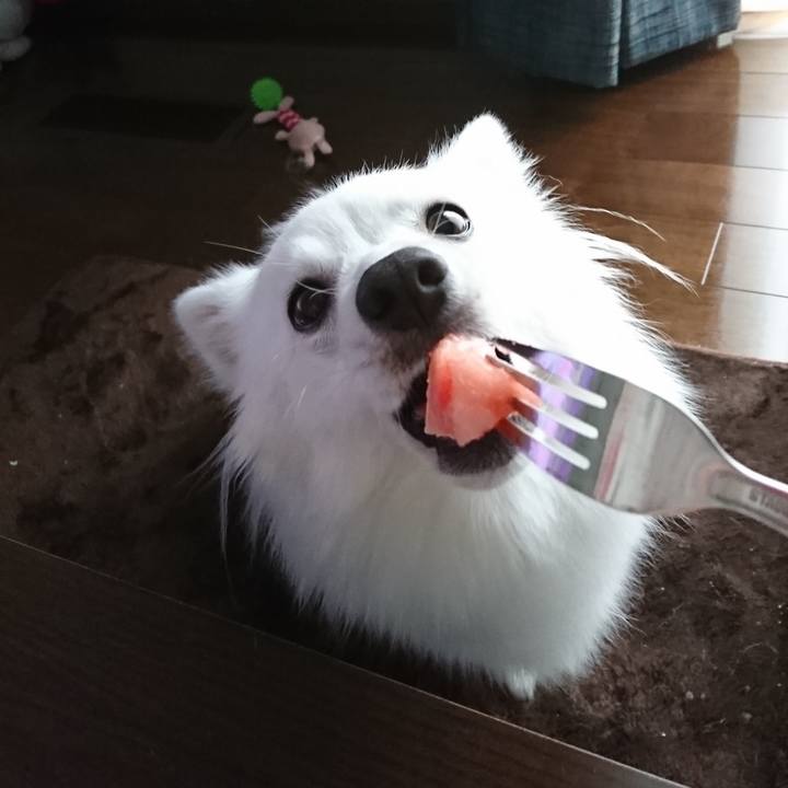 9ae3af00 c095 41ff 8d3d f539bb22f035 1529294213386