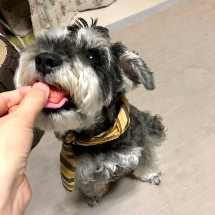 9ae3c5ed 1f95 4261 b21c 3f5d0b7b59c0 1659274951670