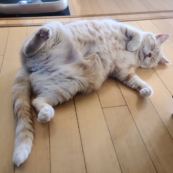 9ae3e968 9f44 4034 9571 505ee2e64e1e 1650346487290