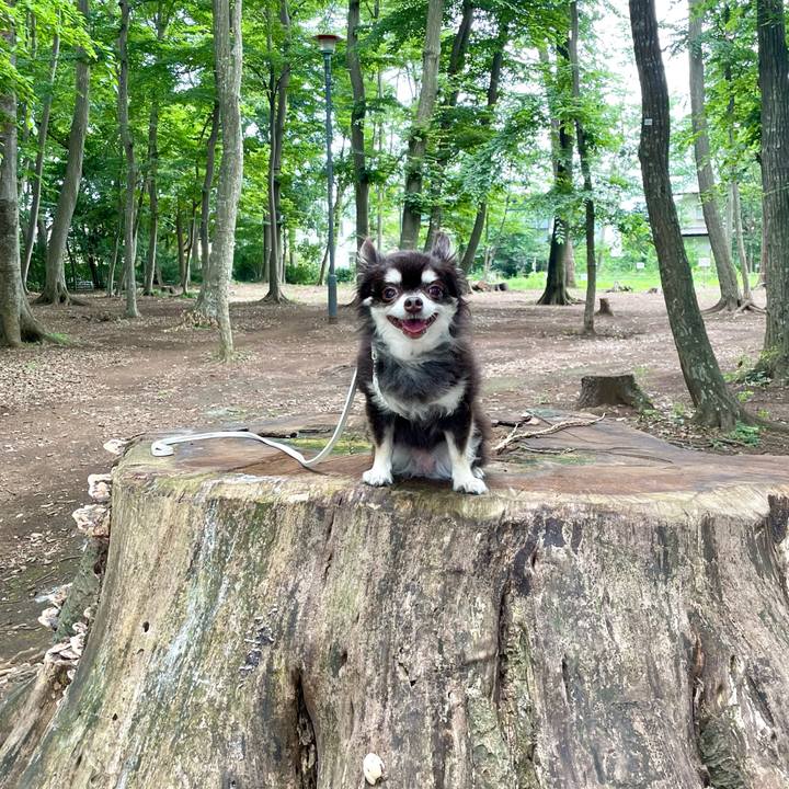 9ae3f94d c4f6 4538 a3cf 487e54ee7232 1661485506767