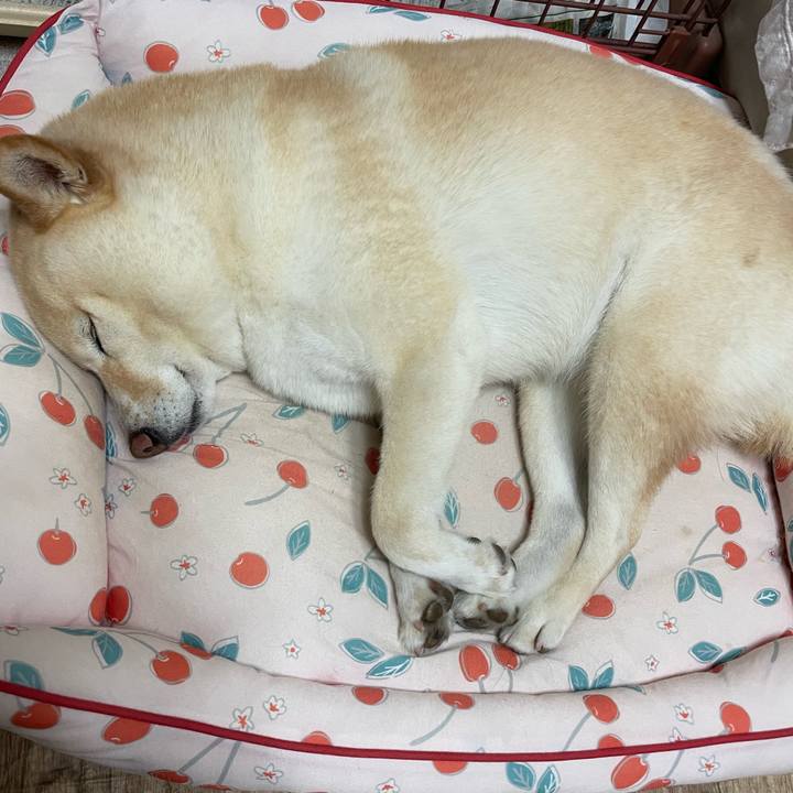 9ae400bd a3ce 4436 83c7 aad1ebbe1e25 1720481163526