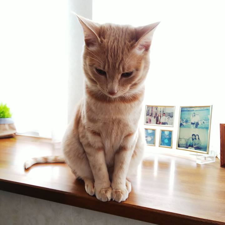 9ae41c38 552f 405e b4ea 86d9d1efad32 1553382625154