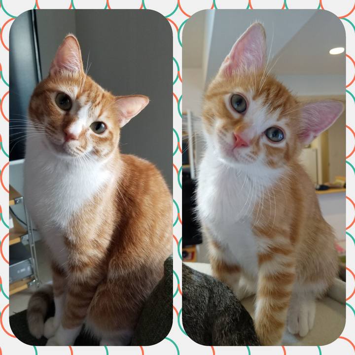 9ae4291b 443b 4b65 b629 974cc1b4484f 1526200869638