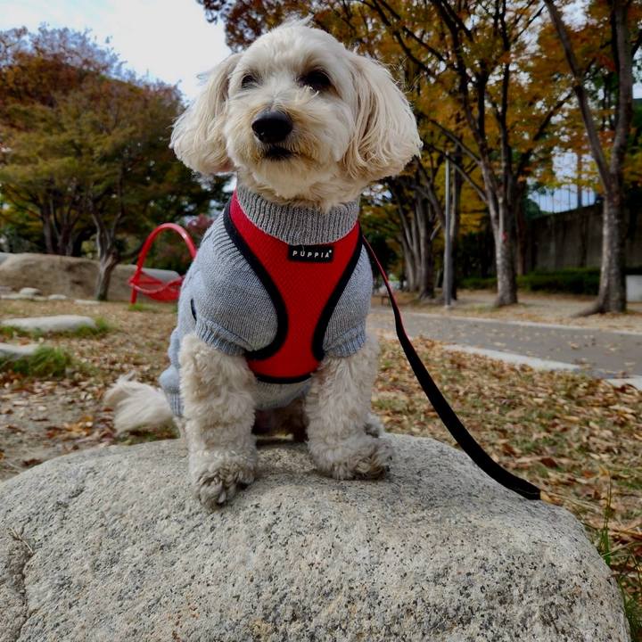 9ae48035 1fe7 4bcc bd7b 30ef1cde24ec 1763446132952