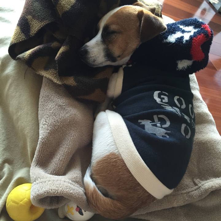 9ae493b0 a921 454d bc43 9380dc363c81 1705487693191