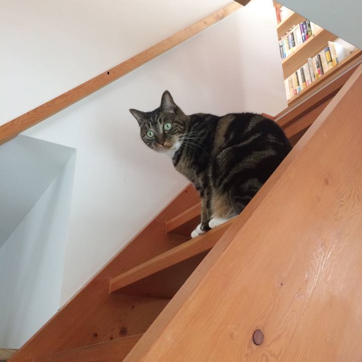 9ae4b73c b879 48ee ac38 27c6264fd129 1510787716977