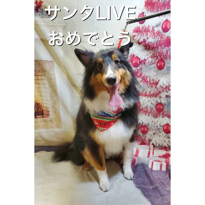 9ae4cc0d f078 4147 b474 21ffcdef3613 1608332105552