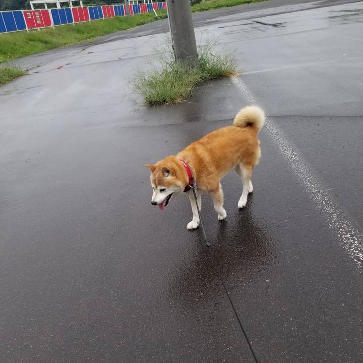 9ae4df0c b6ec 4934 8287 639c5d350c9e 1724907463861