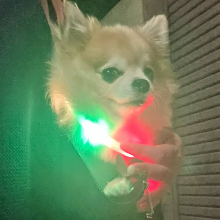 9ae50b07 65ad 48d8 9d42 7d2eeb94ee67 1756256938745