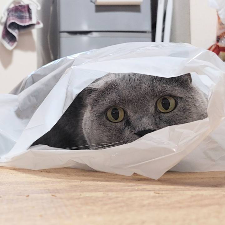 9ae51680 67a3 42fc ac34 e121879ae319 1697063661207