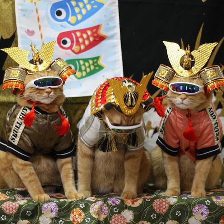 9ae518ea ef0b 4ffb a7c1 cac36471437b 1588607356884