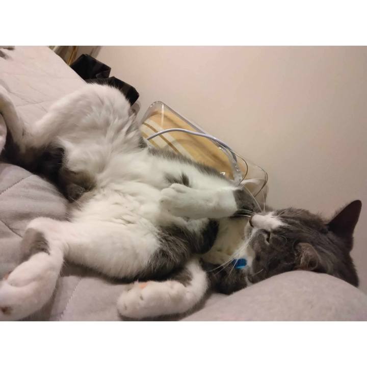 9ae5472e e4ff 4ef0 b98d 643e27d0f5f4 1695259392544