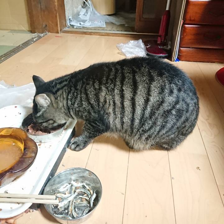 9ae54fcf 13bb 4785 825d b836832ea090 1633528074736