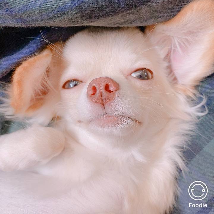 9ae5572b 2653 422c 882f 425898009750 1600135815682