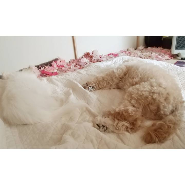 9ae56d62 7272 4c89 9ded 7fc55b2ff395 1652496587540