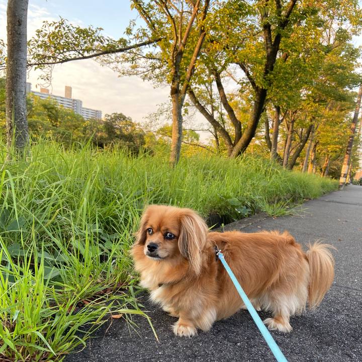 9ae5803a b7f5 41d1 8be7 43dc6aaaaa30 1599601962637