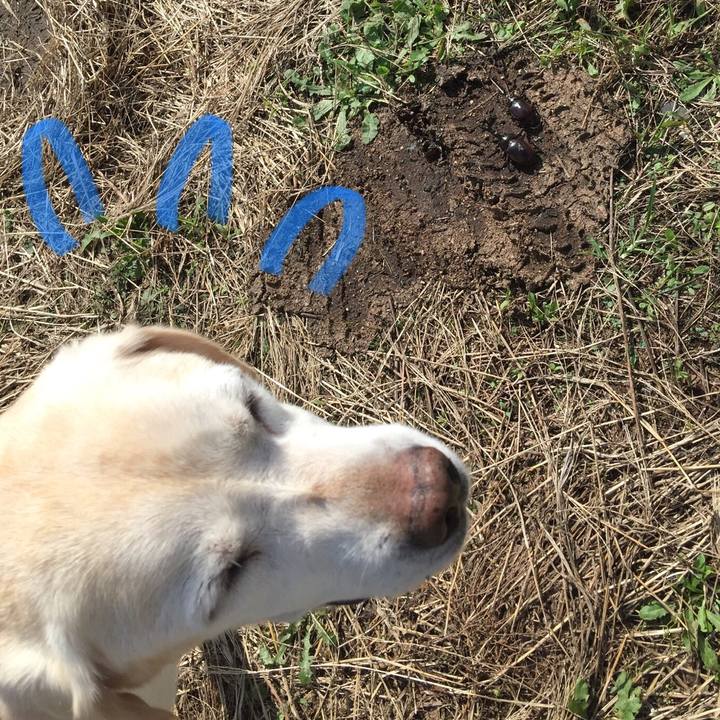 9ae604af 5377 4abe ad6a 41db34181d04 1538533580839