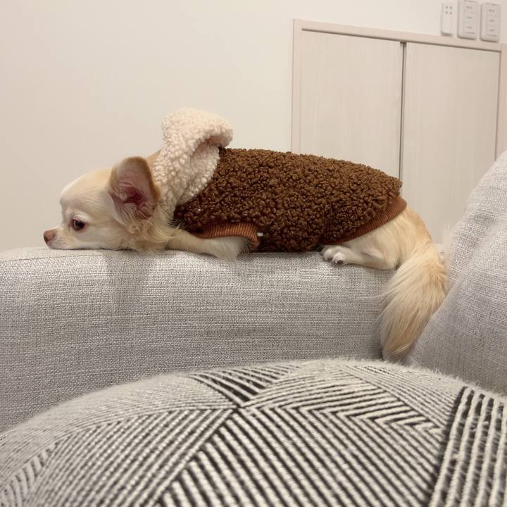 9ae657e3 fe47 4273 a6b0 d898220fd28d 1731147191818