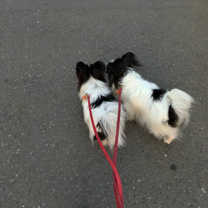 9ae65e0f 8ca3 45ae 83a4 7e4c11c1fcf9 1558777802402